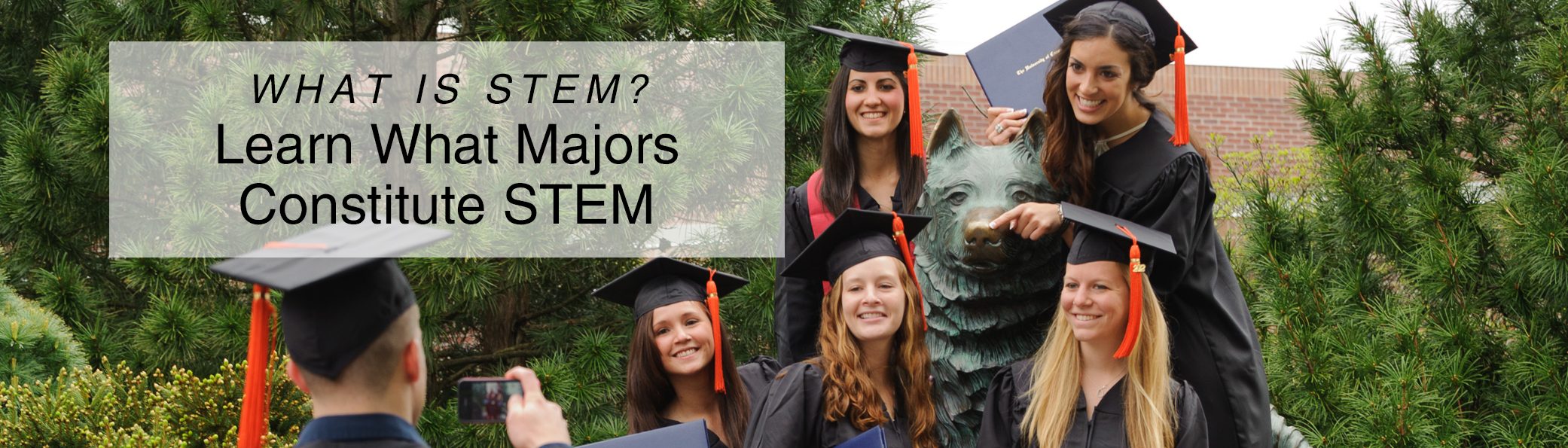 Possible stem majors